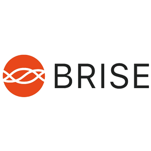 brise logo